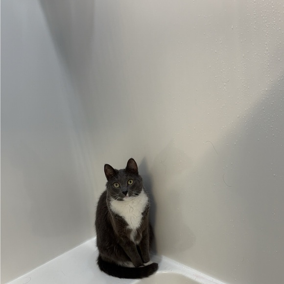 Meet the Posher Other - Meet your Posher, Misty